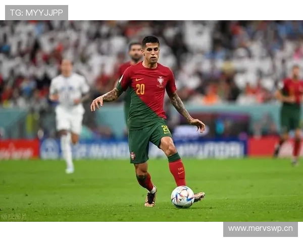 坎塞洛传球分布更分散，哈兰德射门效率偏向单点驱动