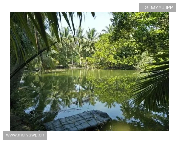 看孙准浩下班那张图，赛场上拼命三郎，下了班像豪门少爷